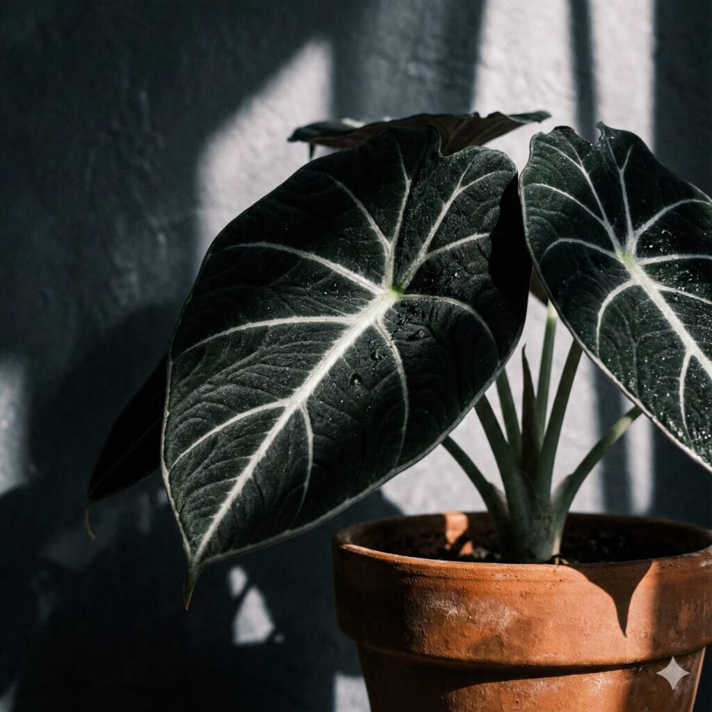 Dark & Moody Houseplants: 7 Dramatic Indoor Plants That Are Trending Right Now