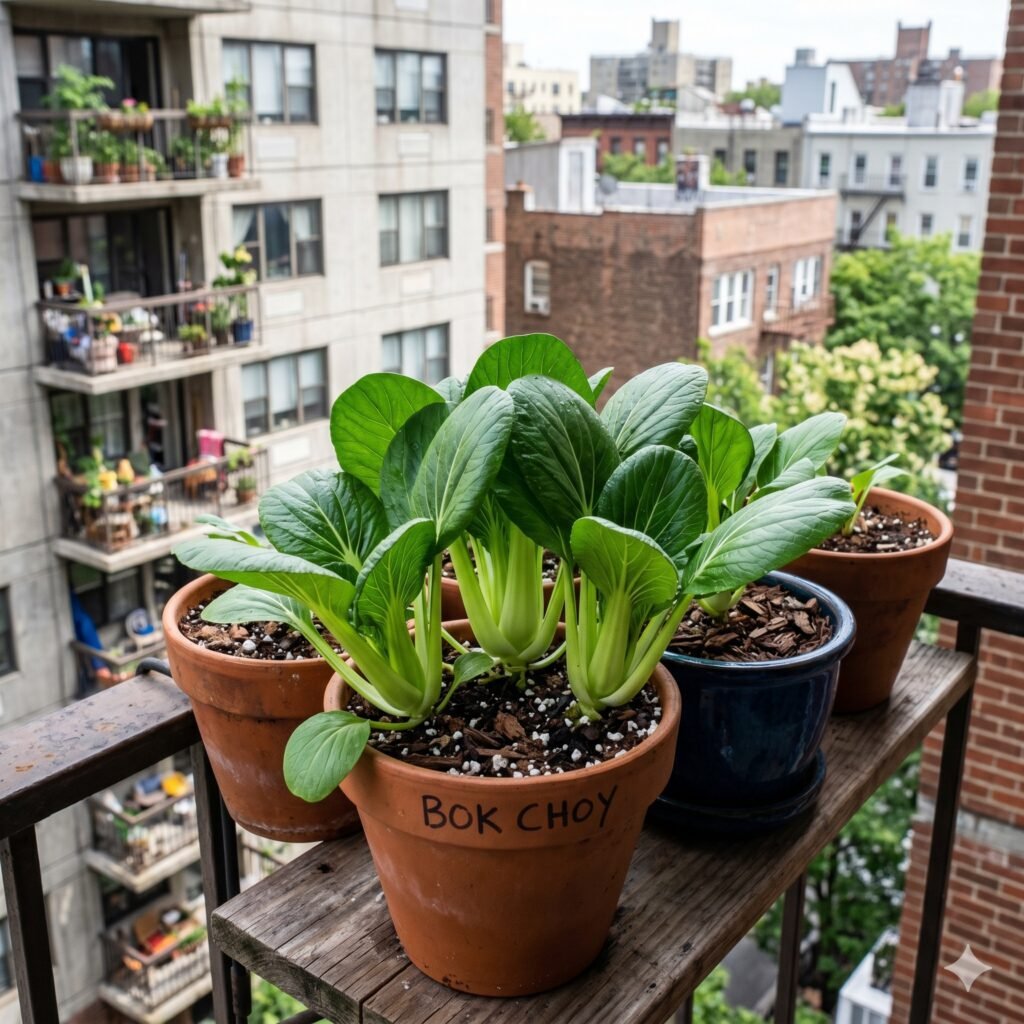7 Fast-Growing Vegetables You Can Harvest in 60 Days on a Balcony